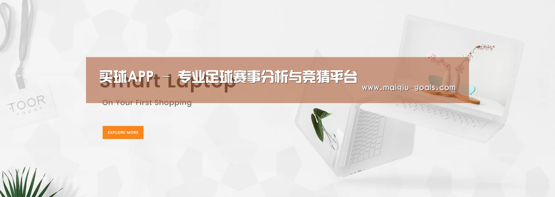 某某网络科技有限公司